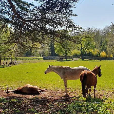 Marcart, Sur Le Sentier Du Miosson Benoit 山林小屋