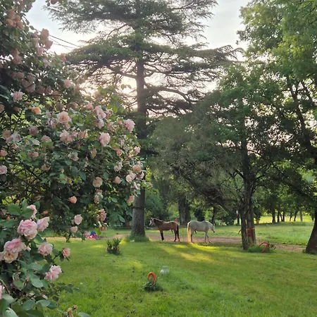 Marcart, Sur Le Sentier Du Miosson Benoit