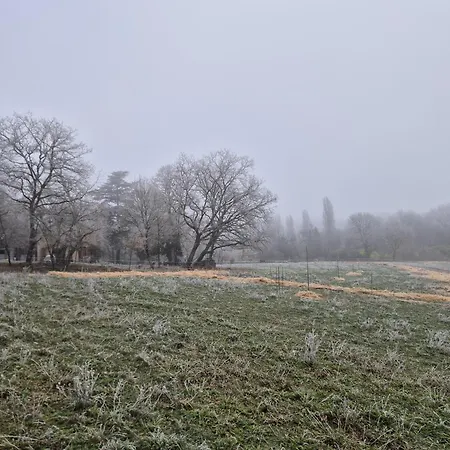 Marcart, Sur Le Sentier Du Miosson Benoit Saint-Benoît